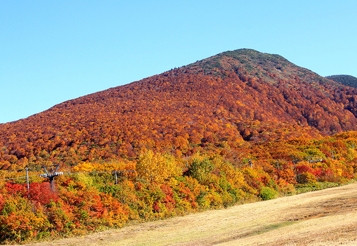 蔵王ロープウェイ 紅葉空中散歩