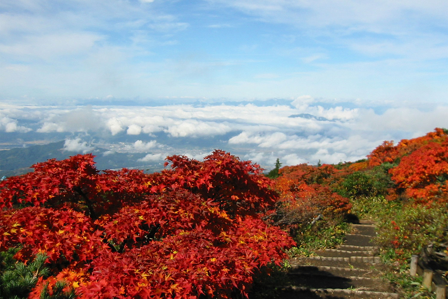 三宝荒神山